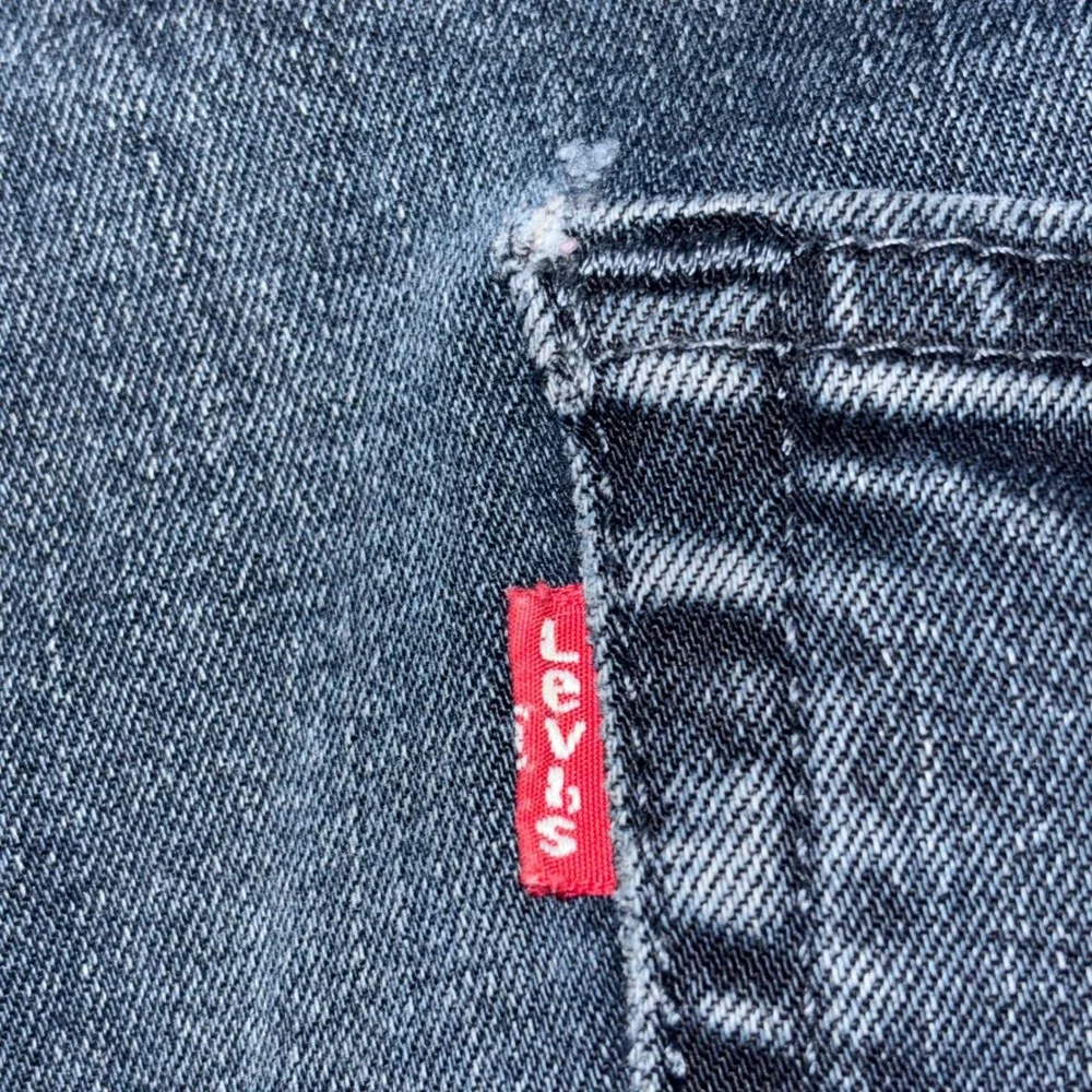 Levis levis 504